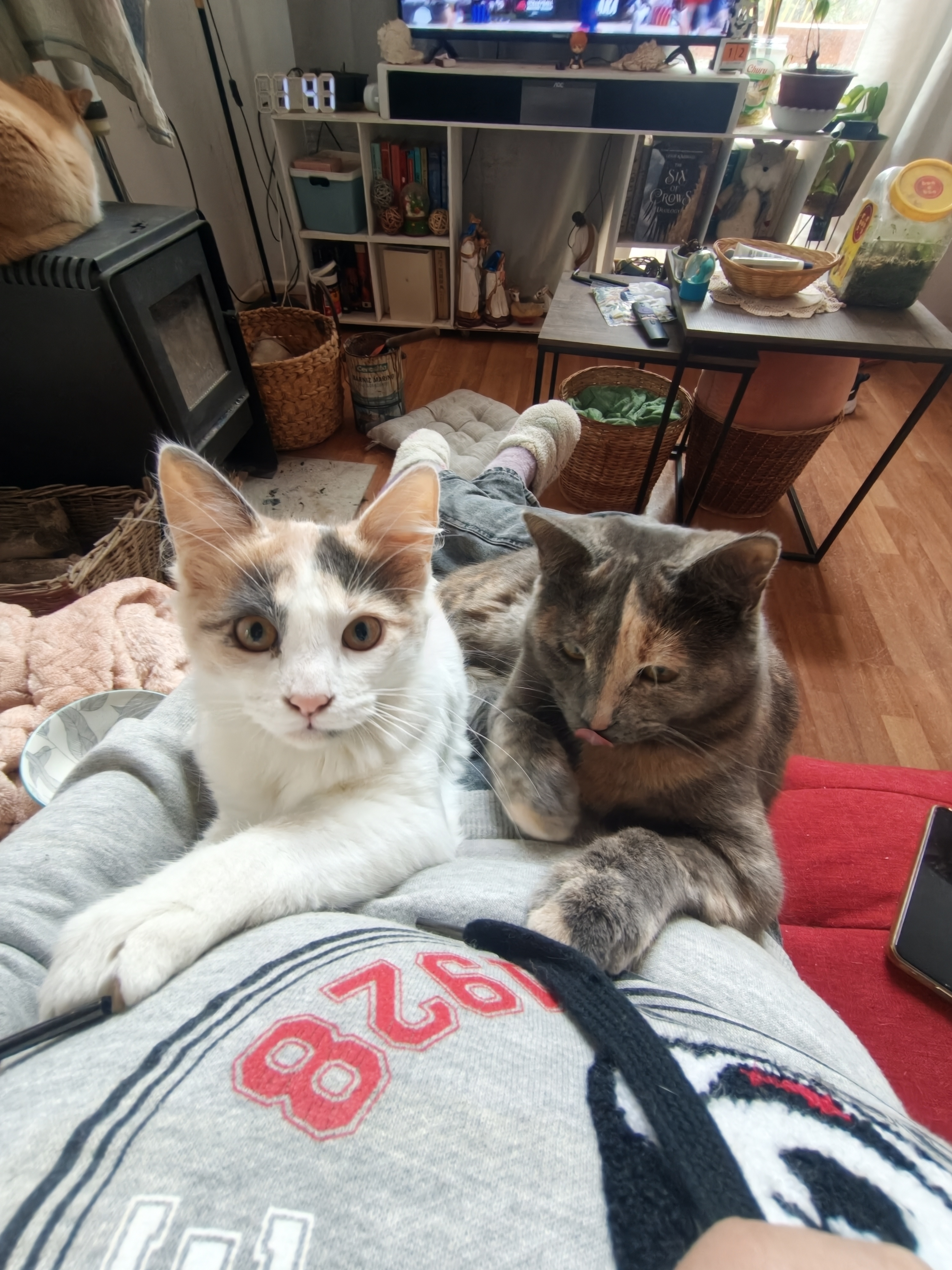 Foto de Moka y Kiki