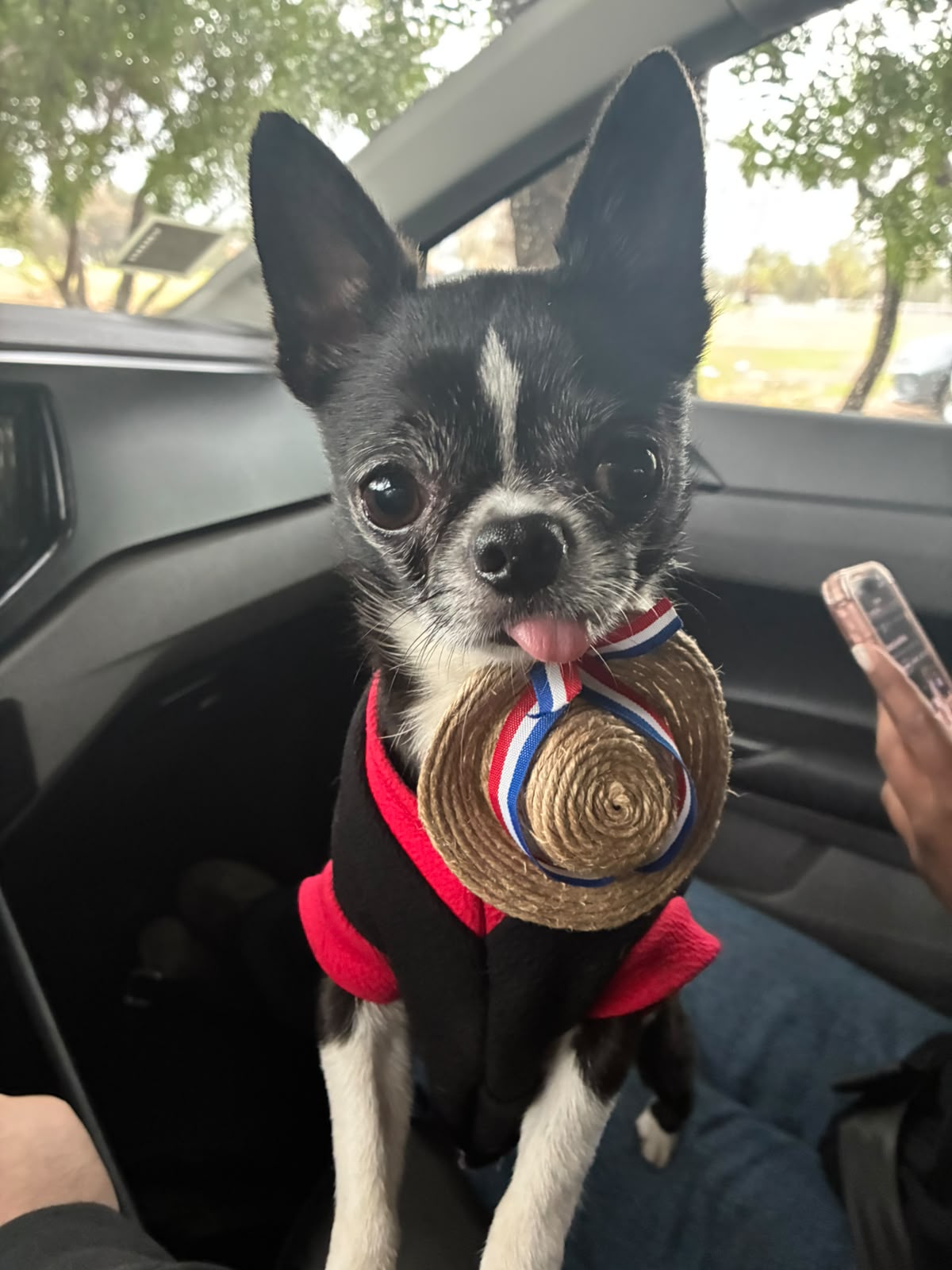 Foto de Tito