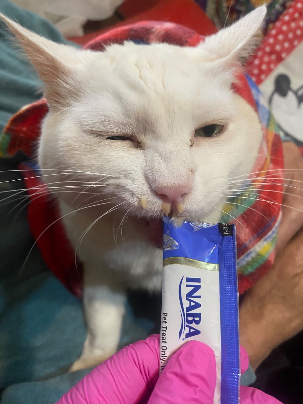 Foto de mochi