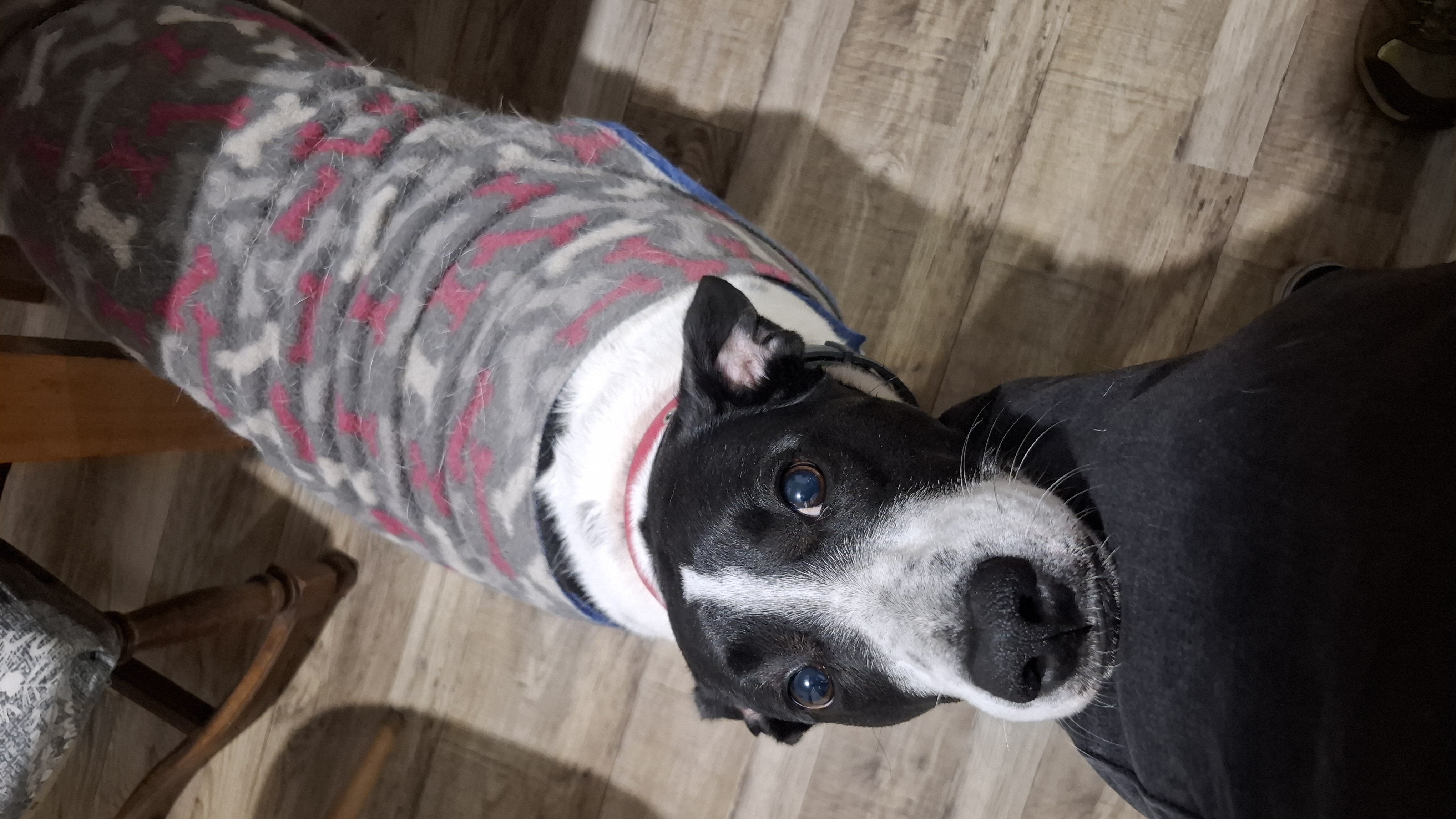 Foto de Charlie