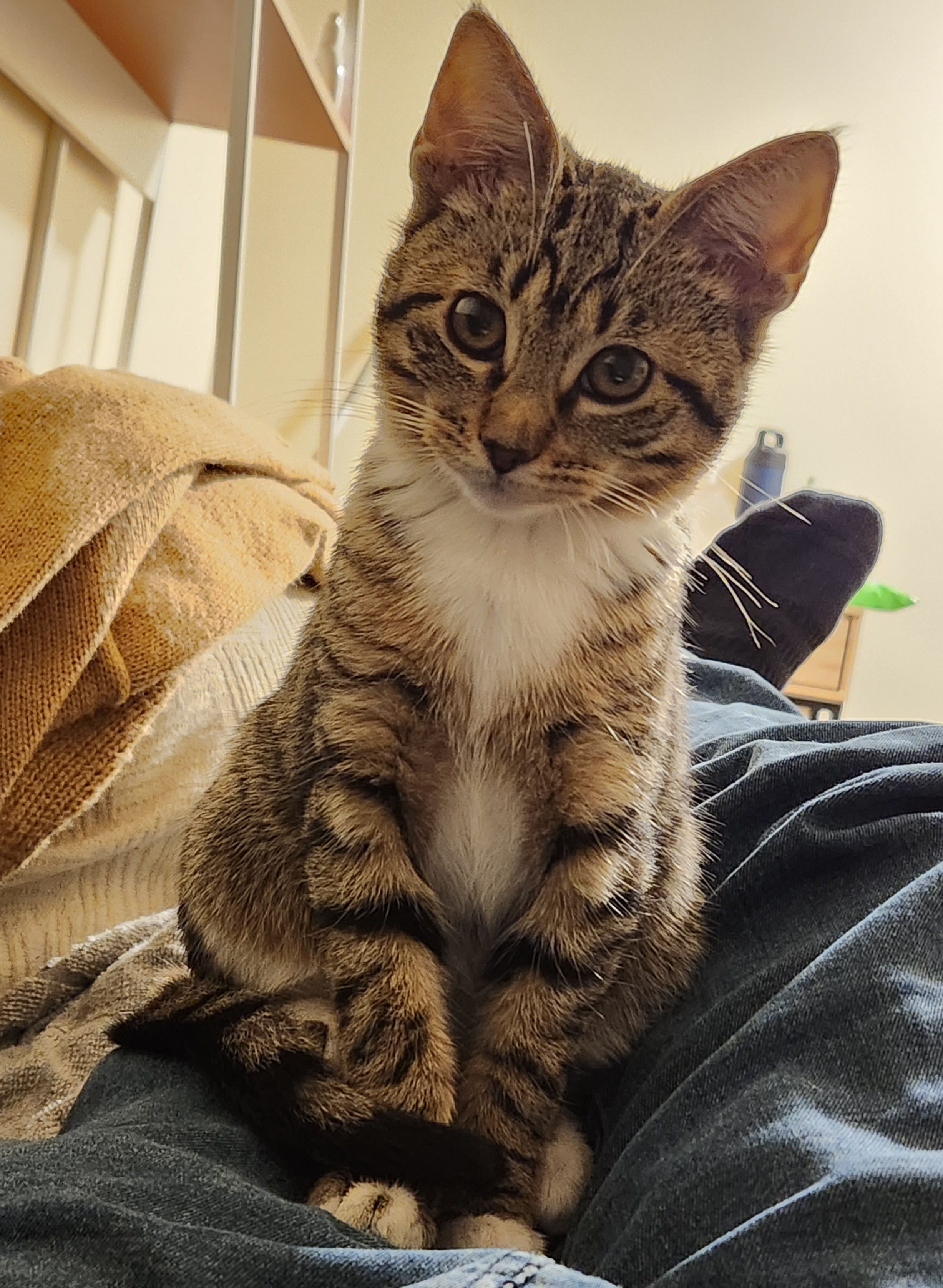 Foto de Mika